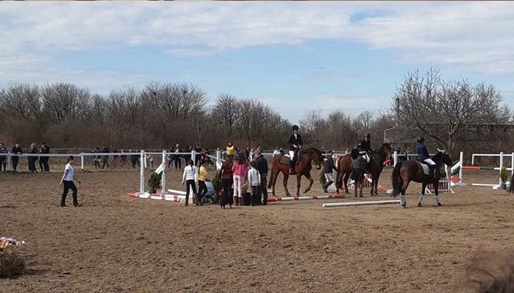 Конни надбягвания ще има на Хиподрума в Русе в събота