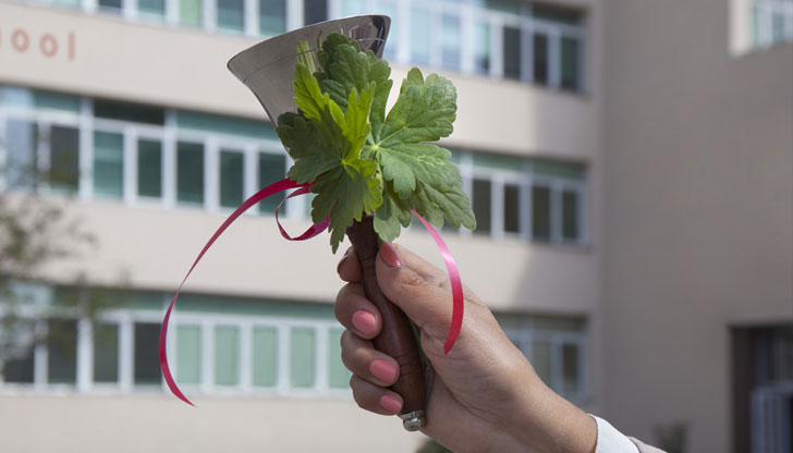 Общо 95,4 на сто от участниците в национално проучване посочват