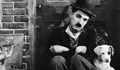 Как Америка изгони Чаплин, а след 20 години го награди с почетен "Оскар"?