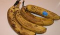 Яжте само презрели банани с петна по кората