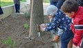 Родители и деца от 4 русенски градини заедно готвиха и засаждаха цветя