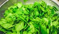 Седем зеленолистни зеленчука, които не трябва да слизат от трапезата ви през пролетта