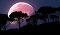 Днес ни очаква розова луна