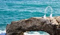 Кипър възстановява сватбения туризъм