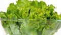 Как да съживим увехналата зелена салата