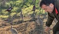Дружините на ЛРС - Кубрат разселиха 1000 фазана