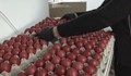 Бачковският манастир посреща Великден с 2022 червени яйца
