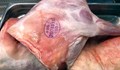 Цената на агнешкото месо в Русе скача 3 пъти, докато се озове в магазина