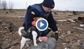 Кучето Патрон изрови близо 90 руски взривни устройства в Украйна
