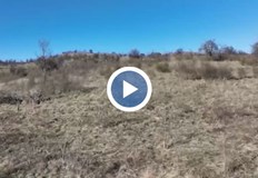 Става дума за залесяване срещу ерозия на общински земи с