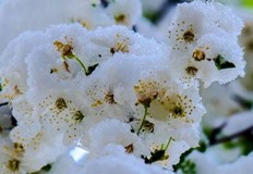 Зимата се завръща още от събота вечер и така ще