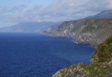 Туристическо корабче с 24 ма пътници на борда включително две деца