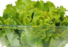 Традиционната пролетна салата с краставички репички и куп зеленина както