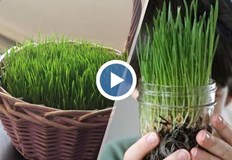 В интернет човек може да намери хиляди идеи за това