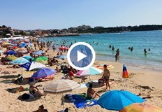 Истинското пролетно време е да има дъжд защото растителността копнее