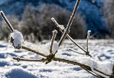 Между 4 5 см сняг падна на прохода Превала през тази