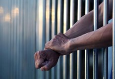 Три години и половина затвор за държане и за разпространение