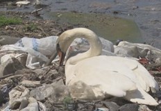 Човечеството отбелязва за 52 и път Световния ден на земята През последната