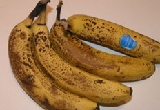 Бананът е един от най популярните плодове Той е обичан както заради