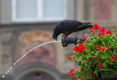 Температурата може да достигне 30 градуса Студеният фронт ще задържи няколко