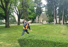 С началото на седмицата стартират и дейностите по косене на