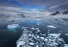 Учените изследват океанските течения и климатичните явления обуславящи топенето но