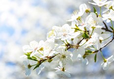 През нощта ще е предимно ясно в повечето райони