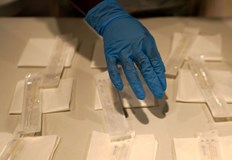 321 са новите случаи на COVID 19 става ясно от данните