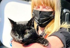 Отдавна изгубен домашен котарак се върна отново при собственика си