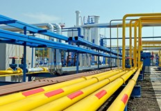 Няколко европейски страни вече подготвиха и представиха планове за действие