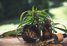 Шегаджийката е била арестуванаБулка от Флорида и нейният доставчик на