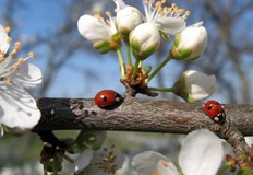 Седмицата започва хладно време Облачността в понеделник ще е значителна