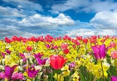 Затоплянето в България започва от днес Ще бъде 16