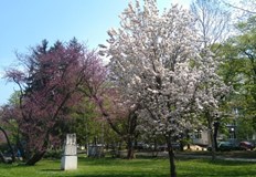 От утре следобед вече ще стане топлоОще този четвъртък през деня много