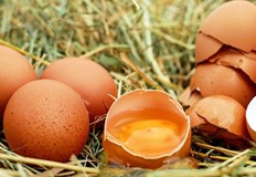 Трябва да ядете яйца за да сте в страхотна форма Яйцата са