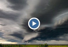 На над 120 сигнала за паднали клони дървета и ламарини