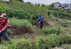 Продължава косенето на тревните площи в шестте района на РусеТази седмица