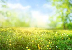 В седем области на страната за днес е обявен оранжев