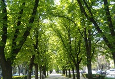 Очаква се чувствително повишение на дневните температуриПрез нощта срещу събота над