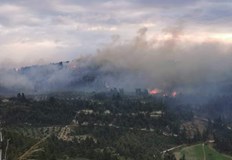 Силен вятър усложнява обстановкатаГолям пожар гори на гръцкия полуостров Халкидики