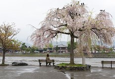 ОвенТова е месец в който да обърнете внимание на обкръжението