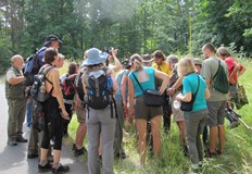 Няколко са подходящите дестинации в България където всеки може да