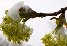 В следващите дни предстои поредно априлско захлаждане От север ще нахлуе