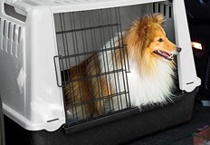 При масирана акция за проверка на шест ГКПП за незаконно