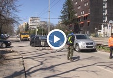 Движението по ул Тулча в Русе е затруднено заради санитарна сеч и окастряне