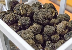 Ако сте виждали трюфел в менюто на ресторант вероятно сте