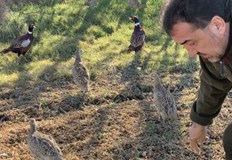 Добро впечатление направи бързата адаптация и реакция към новата среда