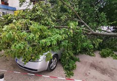 Инцидентът е станал до портала на бившата кожена фабрика в РусеВчера