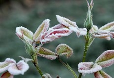 Утре ще е слънчево но в сутрешните часове има условия