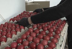 Хиляди се поклониха днес пред чудотворната икона Света Богородица Троеручица В